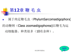 杜氏利什曼原虫课件-2.ppt