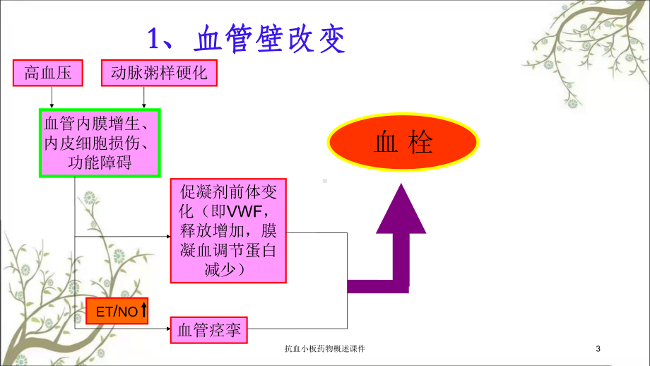 抗血小板药物概述课件.ppt_第3页