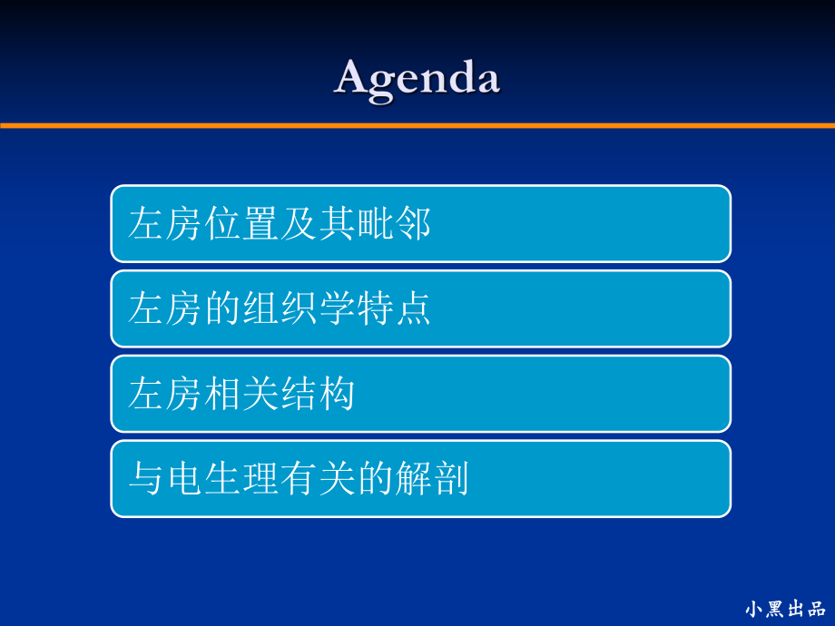 左房解剖学基础课件.ppt_第2页