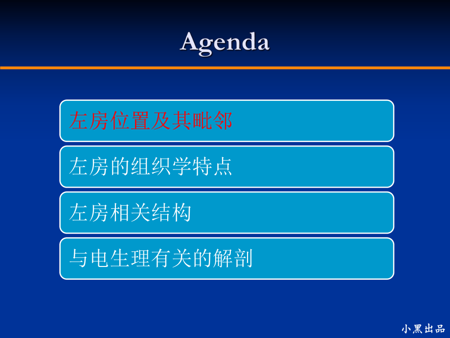 左房解剖学基础课件.ppt_第3页