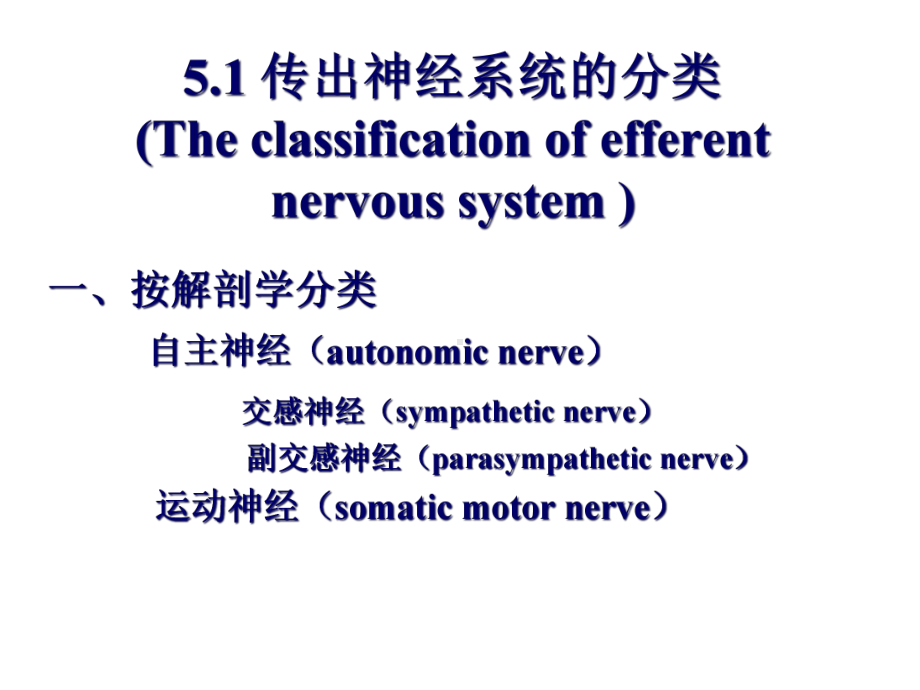 拟肾上腺素药秋课件.pptx_第2页