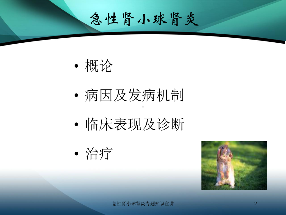 急性肾小球肾炎专题知识宣讲培训课件.ppt_第2页