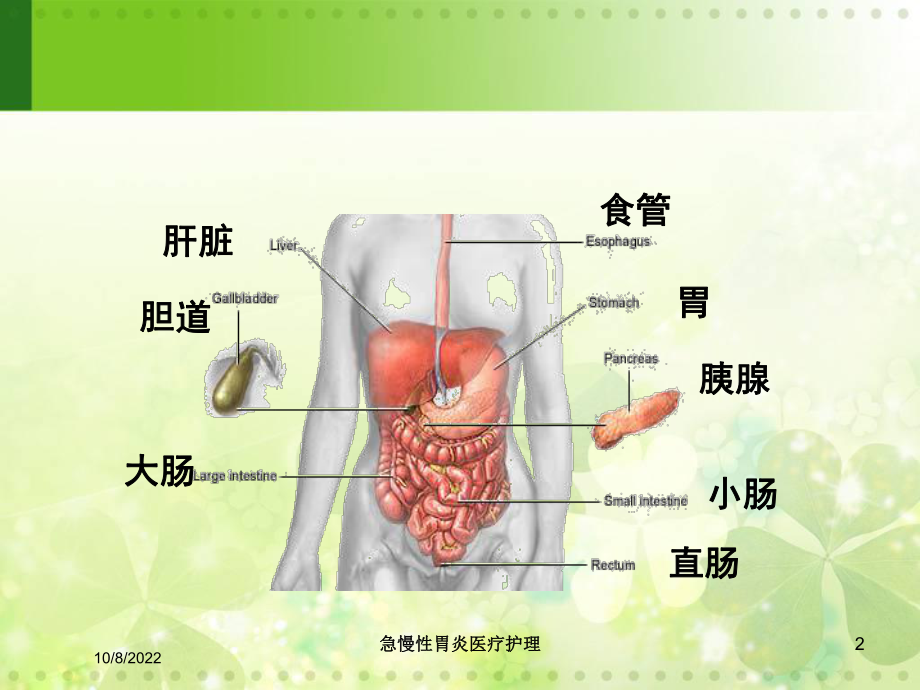 急慢性胃炎医疗护理培训课件.ppt_第2页