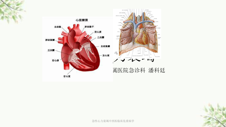 急性心力衰竭中西医临床危重病学课件.ppt_第1页