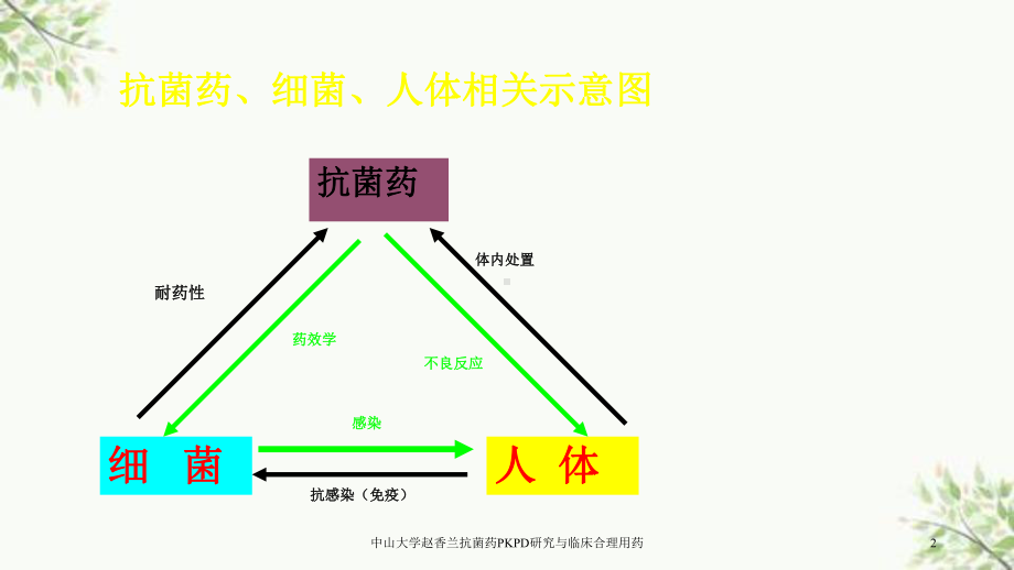 抗菌药PKPD研究与临床合理用药课件.ppt_第2页