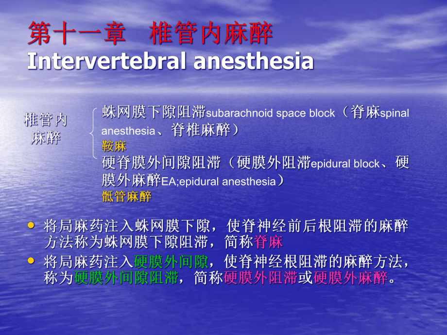 椎管内麻醉医学课件.ppt_第2页