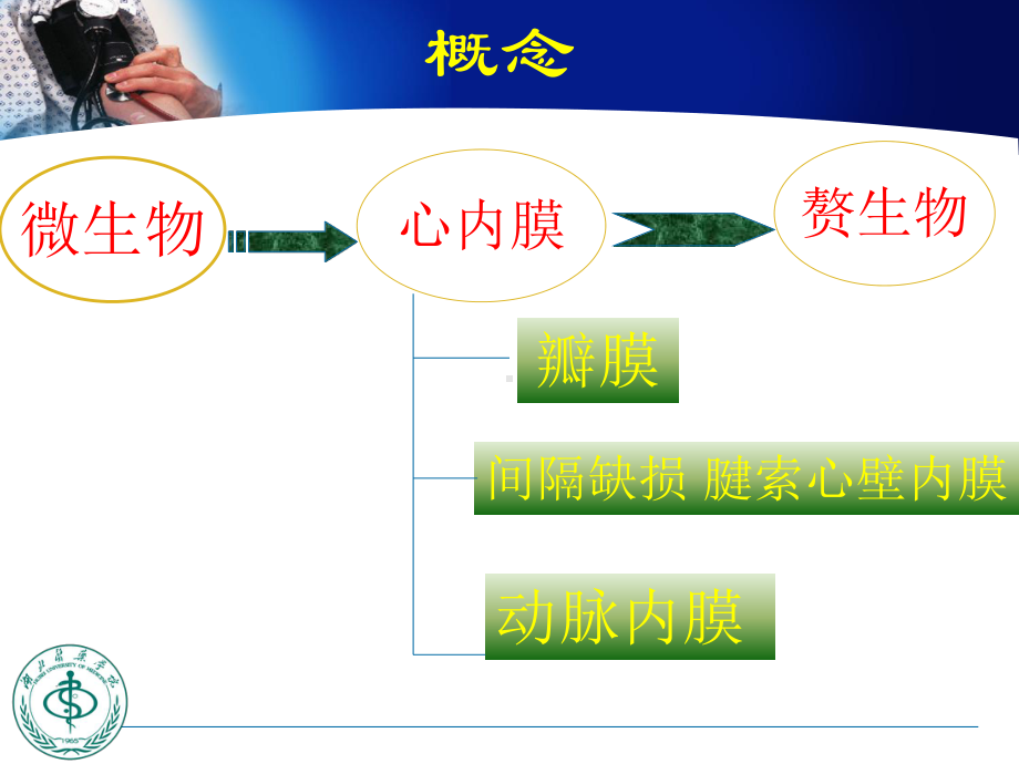 感染性心内膜炎新课件.pptx_第2页