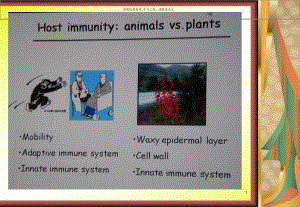 植物免疫学医学宣教课件.ppt