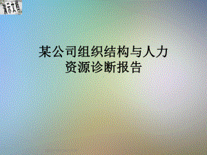 某公司组织结构与人力资源诊断报告课件.ppt