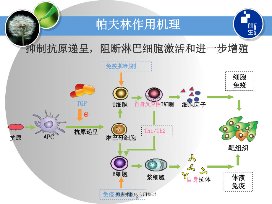 帕夫林临床应用探讨培训课件.ppt_第2页