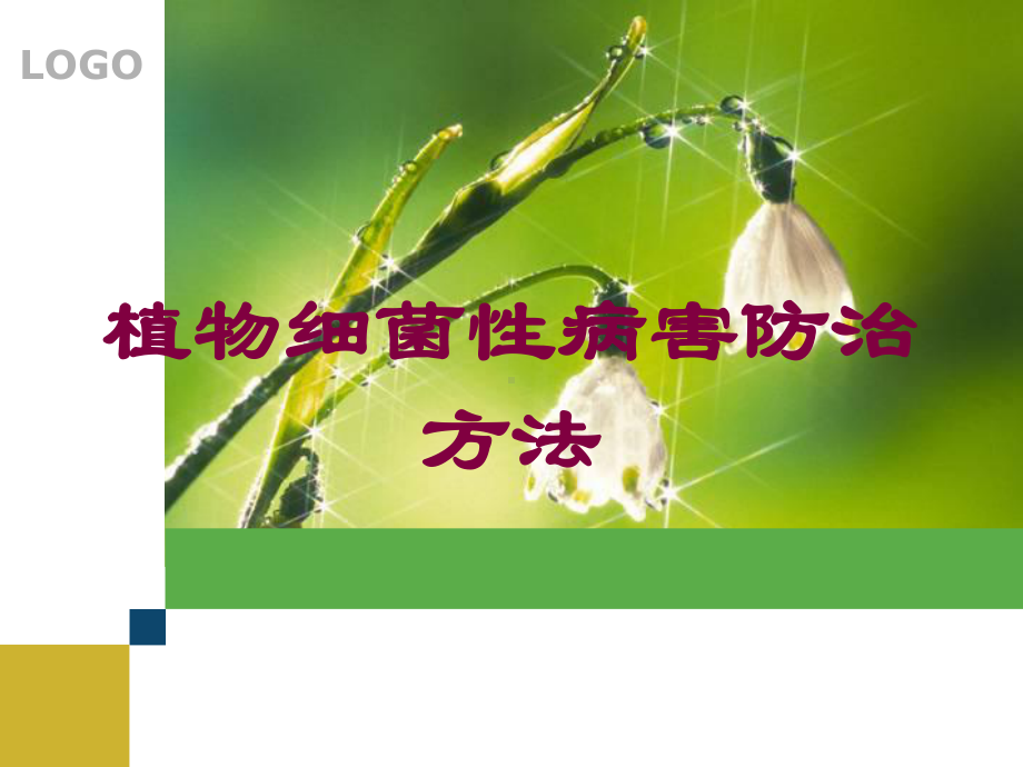 植物细菌性病害防治方法培训课件.ppt_第1页