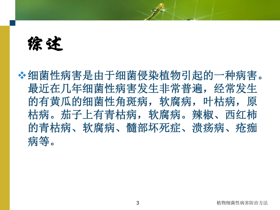 植物细菌性病害防治方法培训课件.ppt_第3页