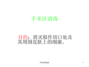 手术区消毒课件.ppt