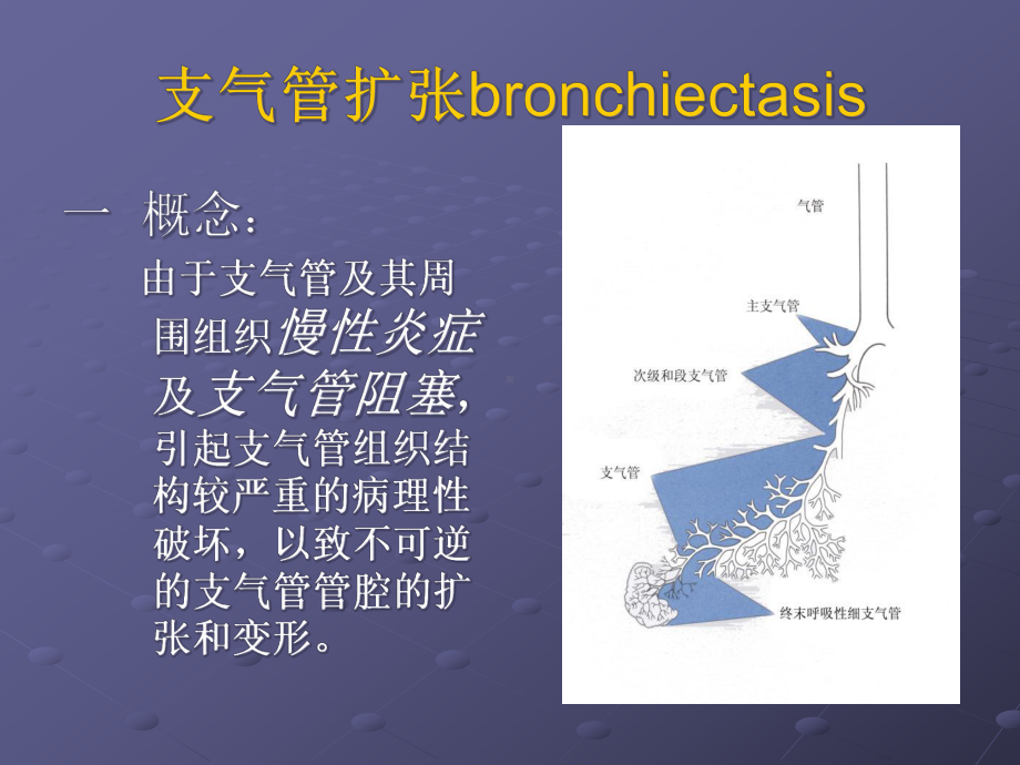 支气管扩张症及咯血护理教材课件.ppt_第2页