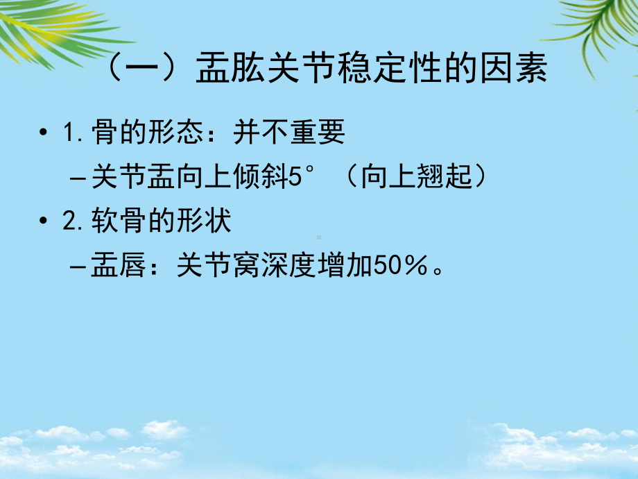 教培用运动学肩关节稳定性课件.ppt_第2页