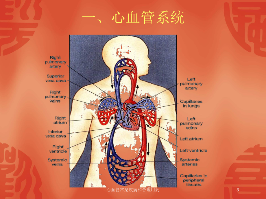 心血管常见疾病和合理用药培训课件.ppt_第3页