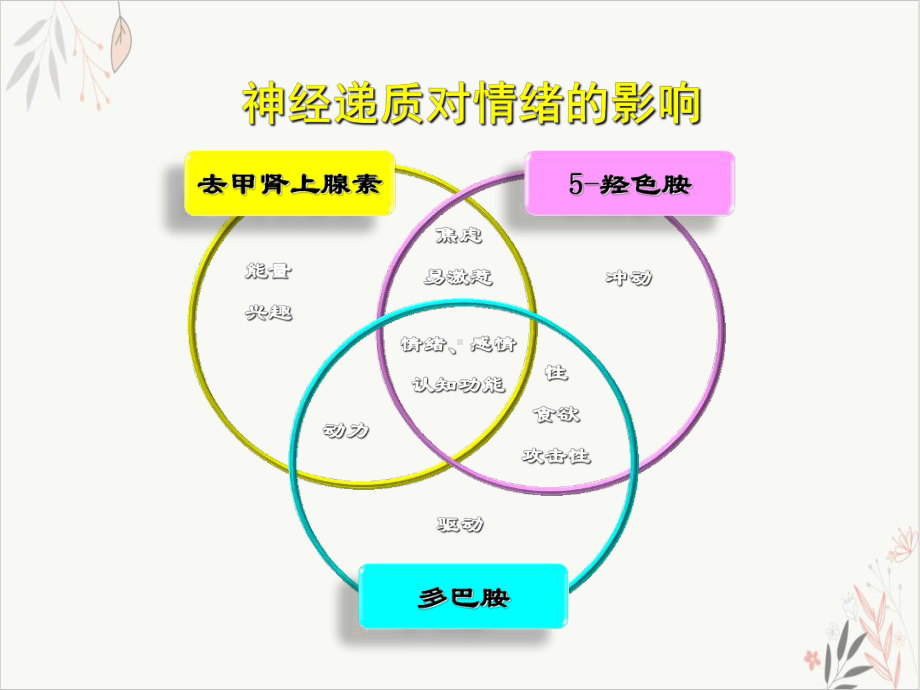 抗抑郁治疗疗效强起效快课件.pptx_第3页