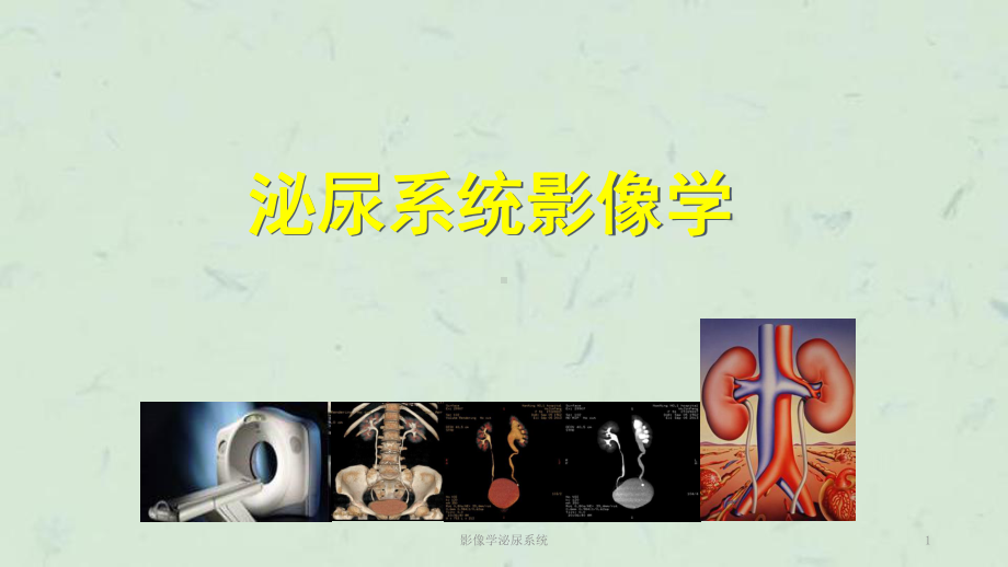 影像学泌尿系统课件.ppt_第1页