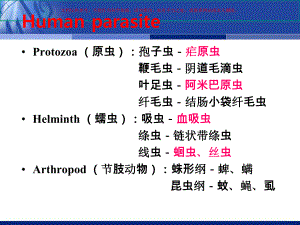 抗寄生虫药专题知识课件.ppt