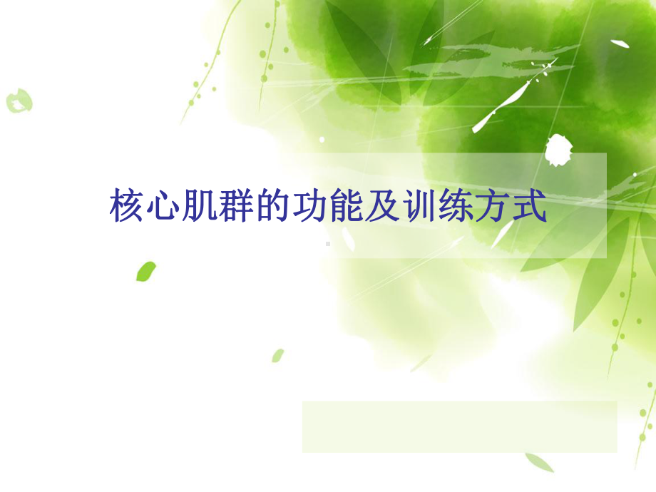 核心肌群的功能及训练方式-课件.ppt_第1页