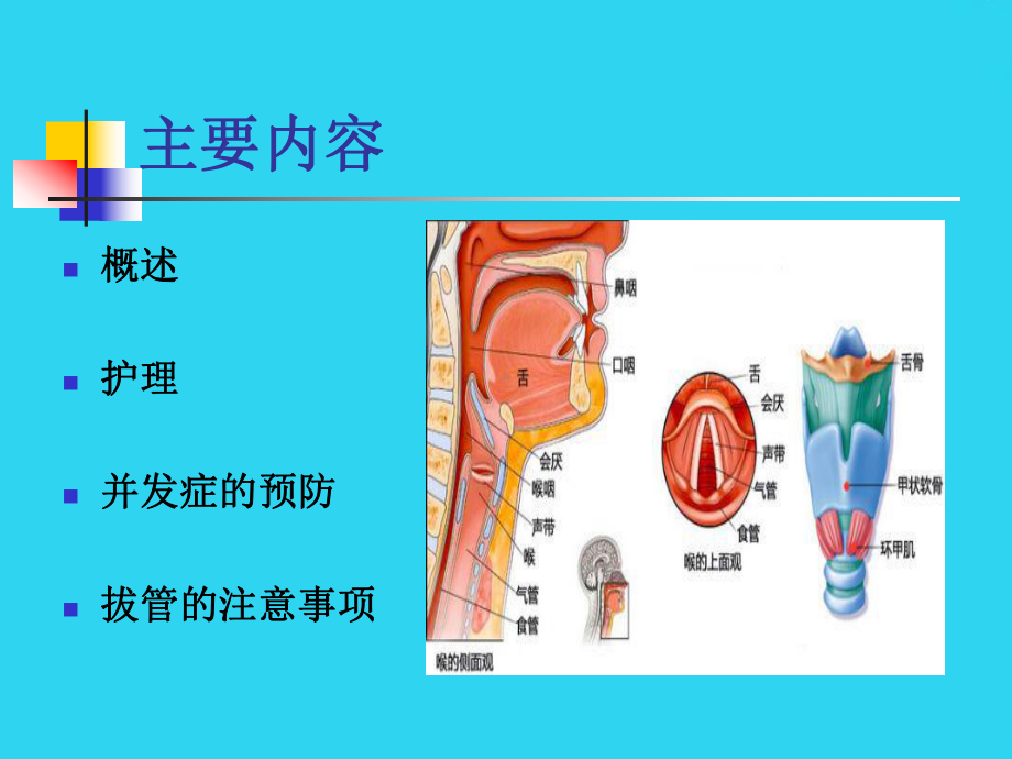 教学培训-气管切开的护理课件.ppt_第2页