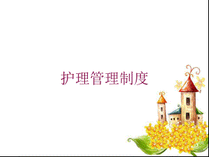 护理管理制度培训课件.ppt