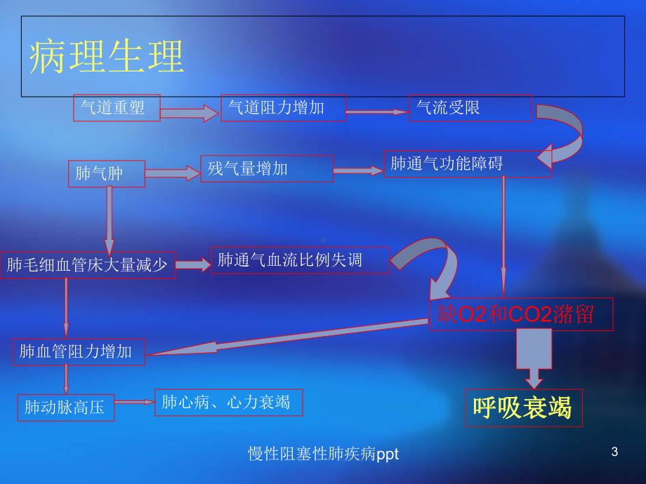 慢性阻塞性肺疾病培训课件-2.ppt_第3页