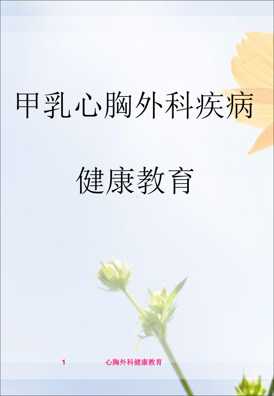 心胸外科健康教育课件.ppt_第1页