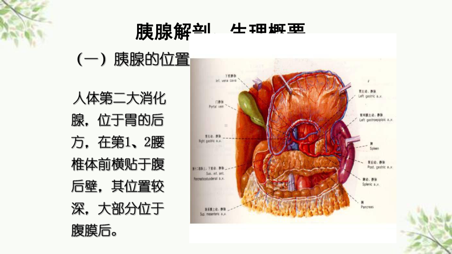 急性胰腺炎患者的护理课件.ppt_第3页