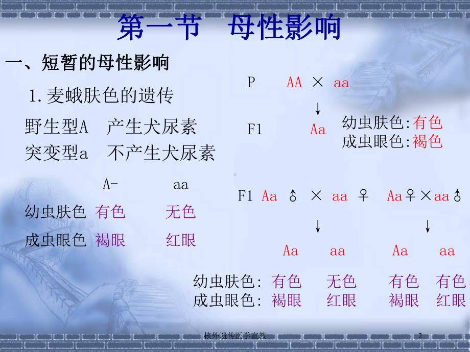 核外遗传医学宣教培训课件.ppt_第2页