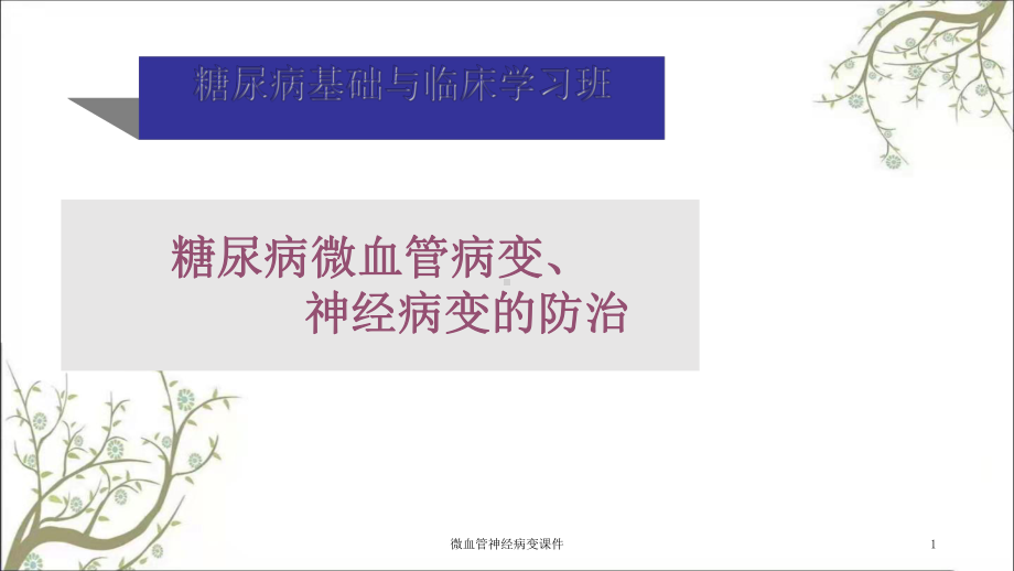 微血管神经病变课件.ppt_第1页