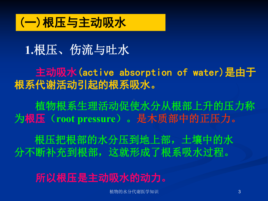 植物的水分代谢医学知识培训课件.ppt_第3页