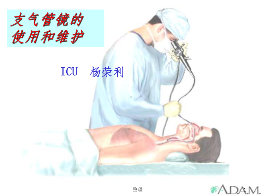 支气管镜的使用和维护精选课件.ppt_第1页