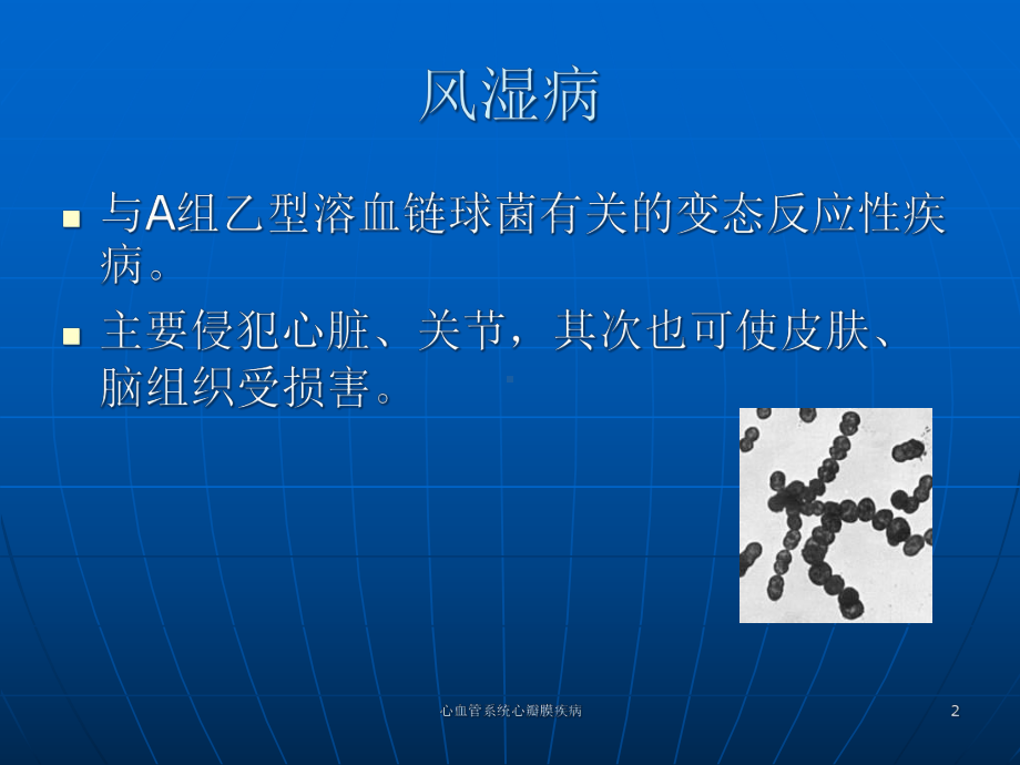 心血管系统心瓣膜疾病培训课件.ppt_第2页