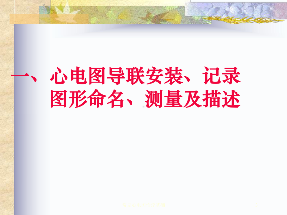 常见心电图诊疗基础培训课件.ppt_第3页