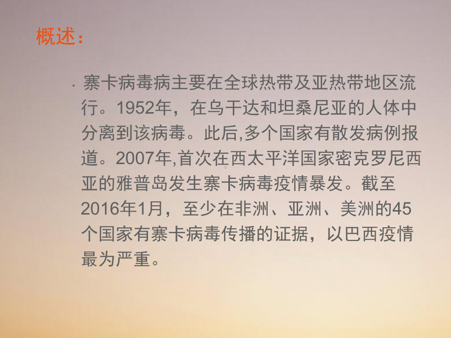 感染科寨卡病毒(疾控)课件.ppt_第3页