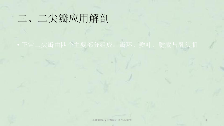 心脏瓣膜成形术新进展及其挑战课件.ppt_第3页