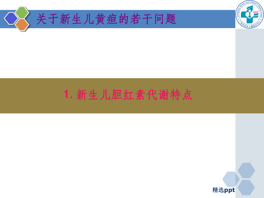 新生儿黄疸的诊断与治疗99776课件.ppt_第3页