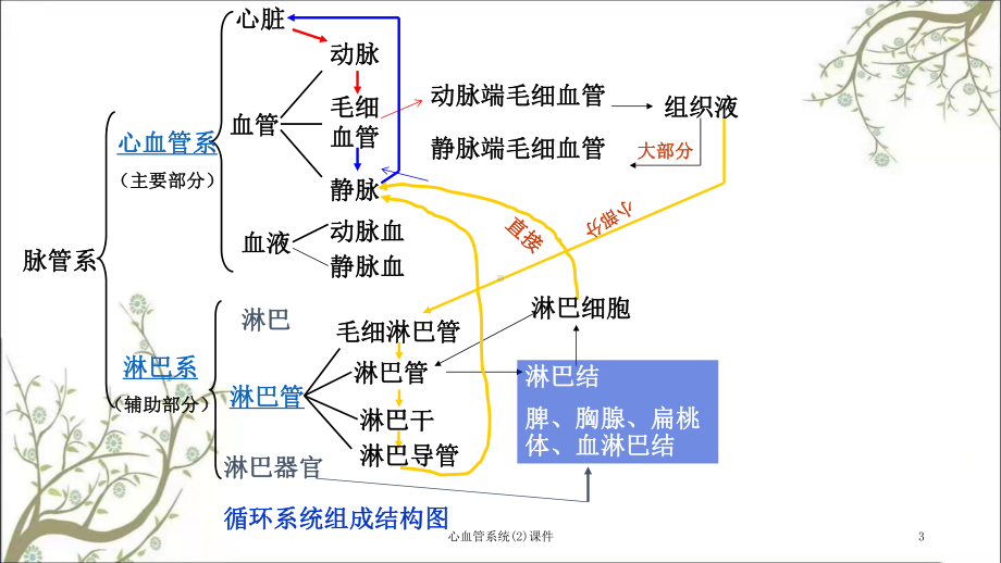 心血管系统课件2.ppt_第3页