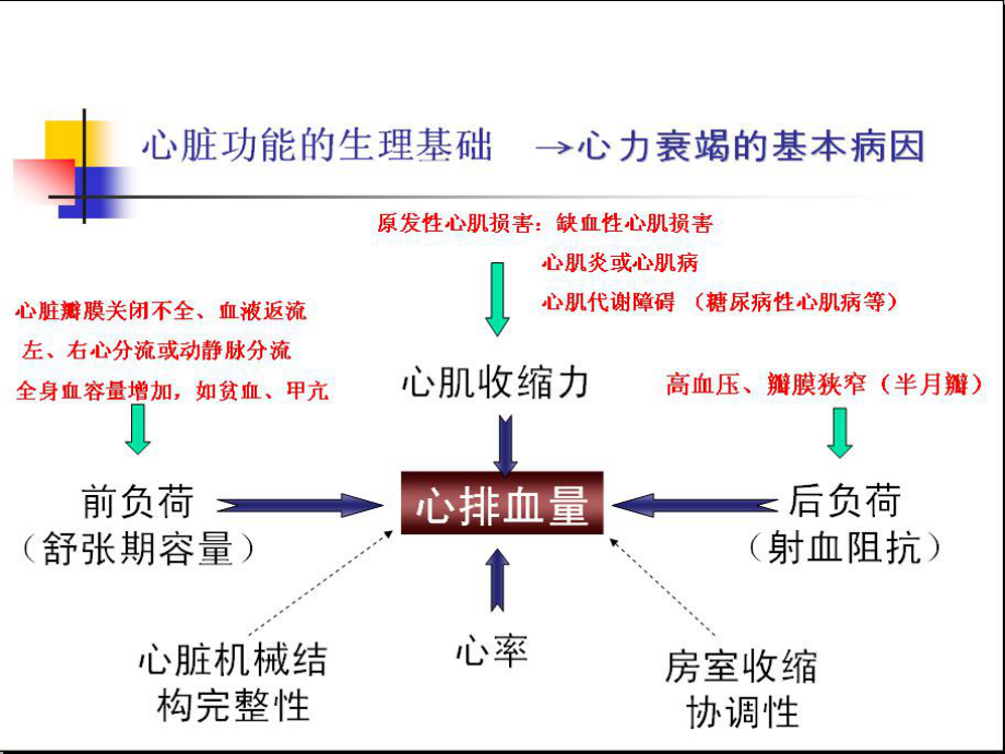 心力衰竭宣贯培训课件.ppt_第3页