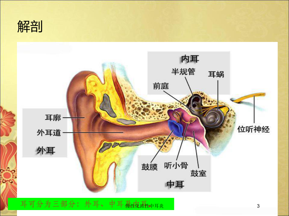 慢性化浓性中耳炎培训课件.ppt_第3页