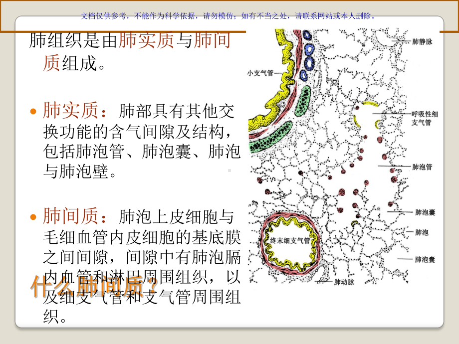 弥漫性间质性肺病医疗护理查房课件.ppt_第2页