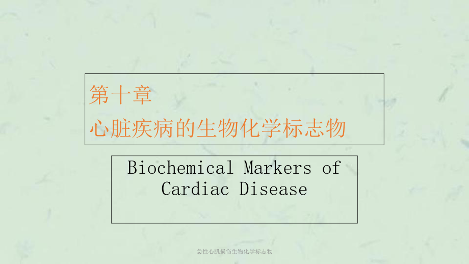 急性心肌损伤生物化学标志物课件.ppt_第1页