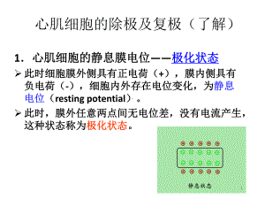 心电图影像学检查课件.pptx