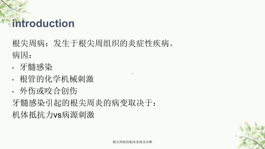 根尖周病的临床表现及诊断课件.ppt_第3页