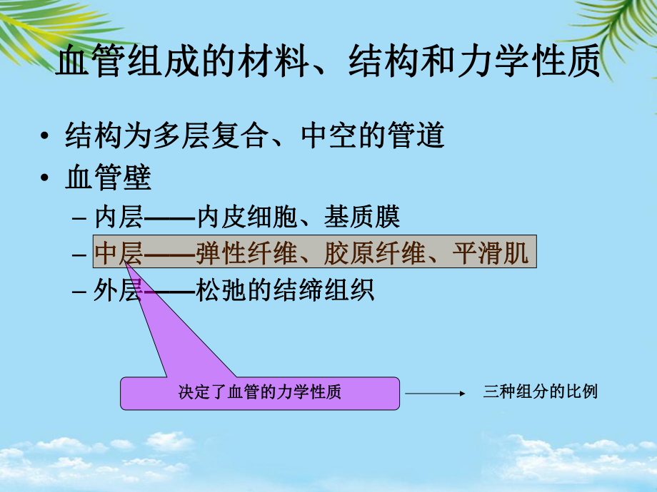 教培用血管结构课件.ppt_第3页