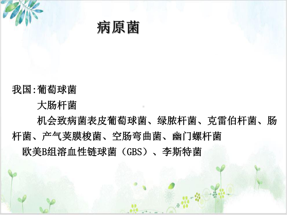 新生儿败血症示范课件.ppt_第3页