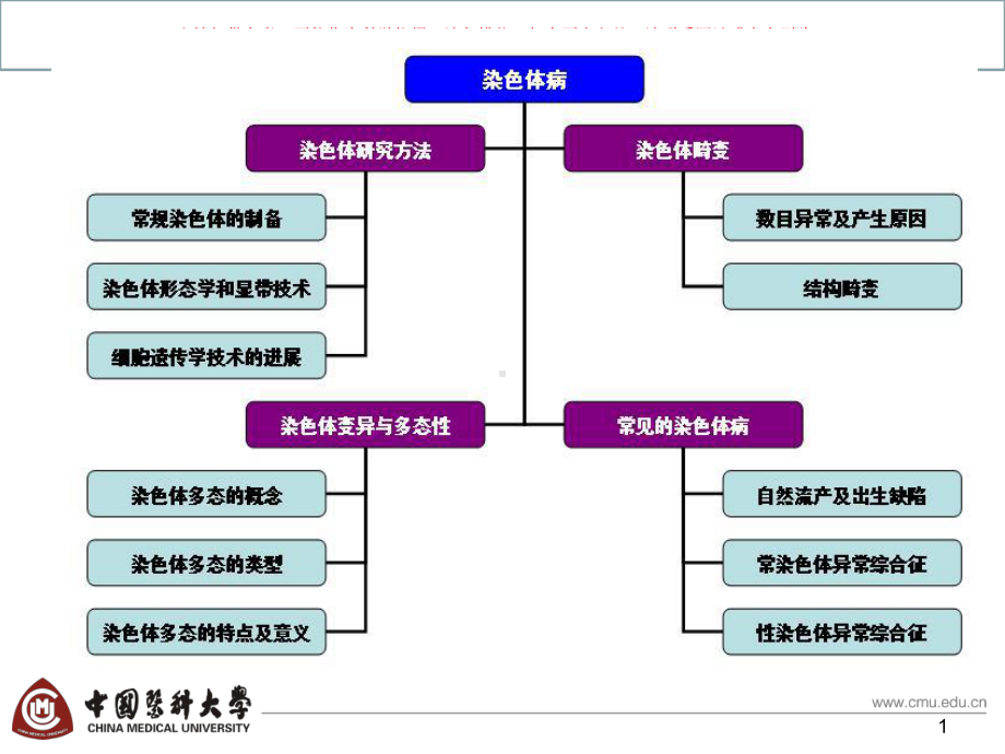 染色体病专题培训培训课件.ppt_第1页