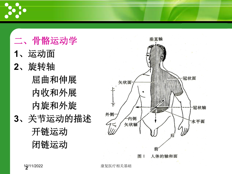 康复医疗相关基础课件.ppt_第2页