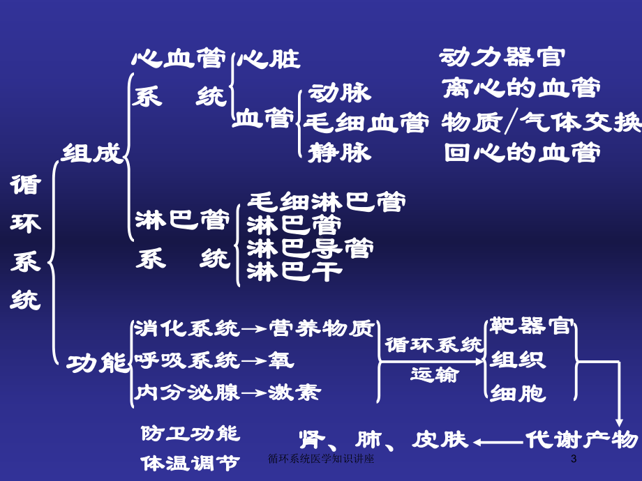 循环系统医学知识讲座培训课件.ppt_第3页